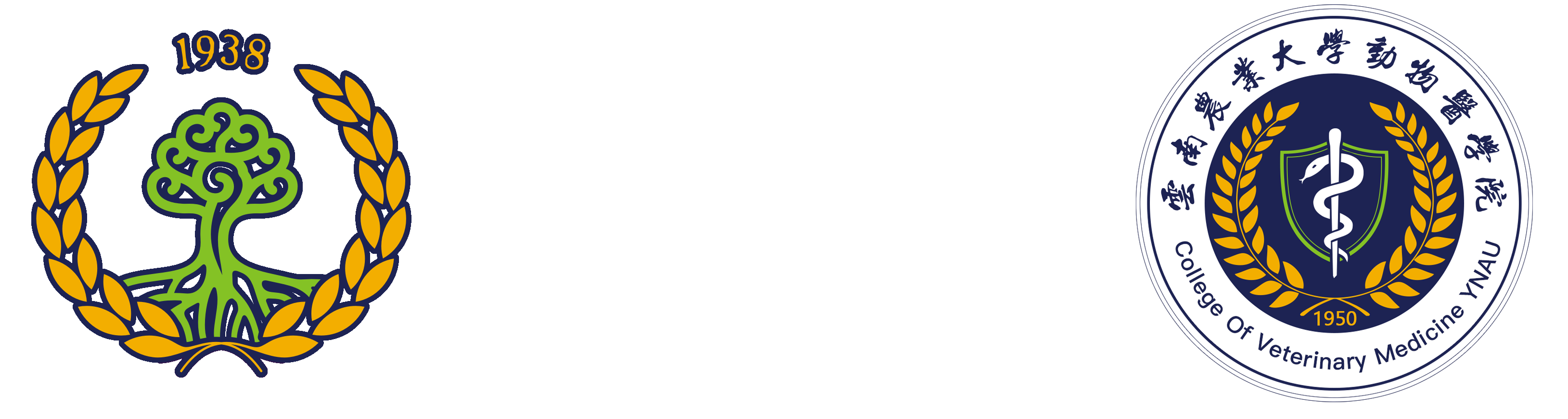 伟德国际1946源于英国